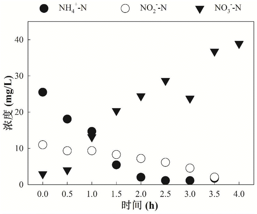 beat365·(中国)官方网站淹没式生物膜活性污泥复合工艺在污水处理中如何提高(图7)