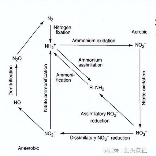 beat365·(中国)官方网站淹没式生物膜活性污泥复合工艺在污水处理中如何提高(图2)